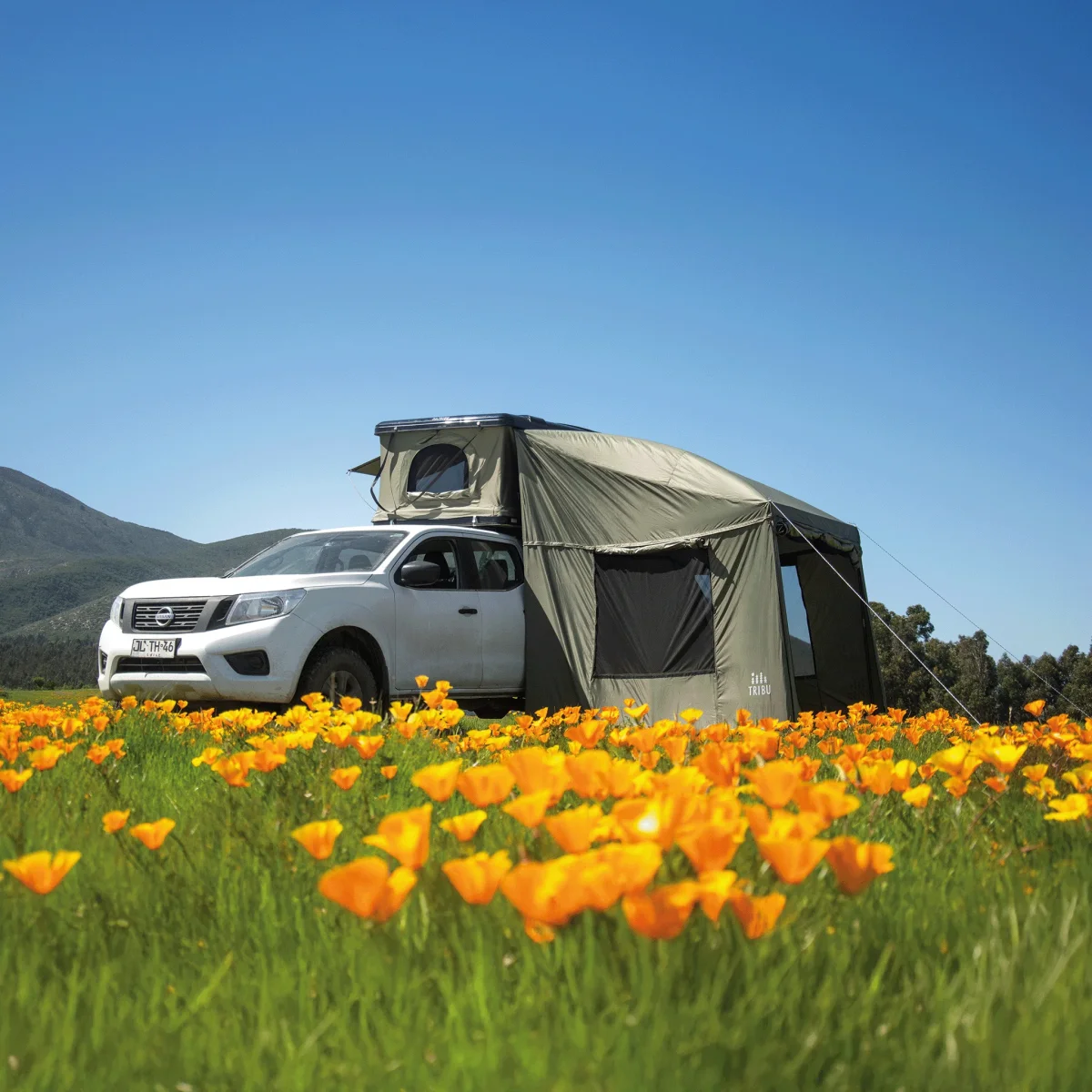 ANEXO DE CARPA NÓMADE - Imagen 2