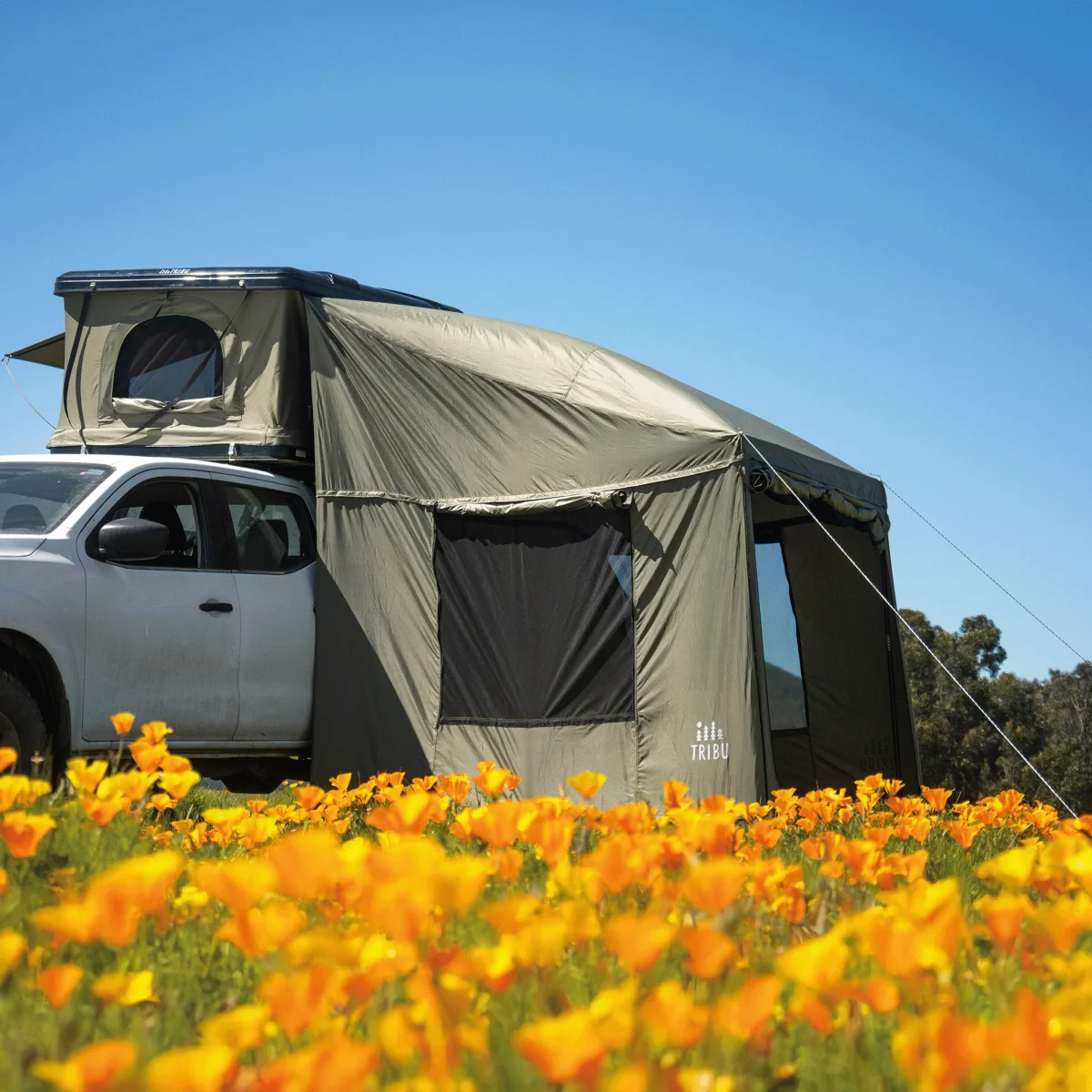 ANEXO DE CARPA NÓMADE - Imagen 4