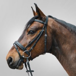 Brida Star Diamond Waldhausen