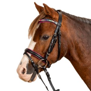 Brida Star Pinky Waldhausen