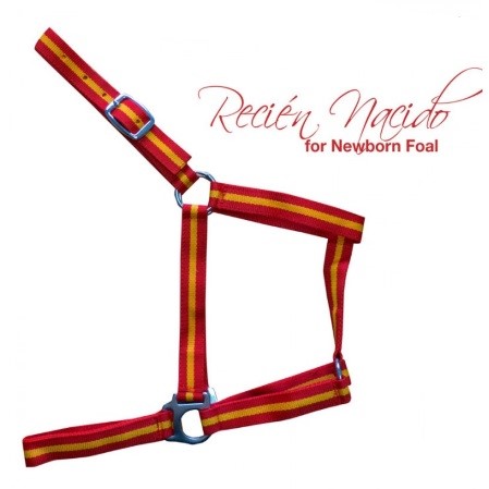 Cabezada cuadra potro recién nacido - Imagen 5