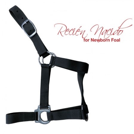 Cabezada cuadra potro recién nacido - Imagen 3