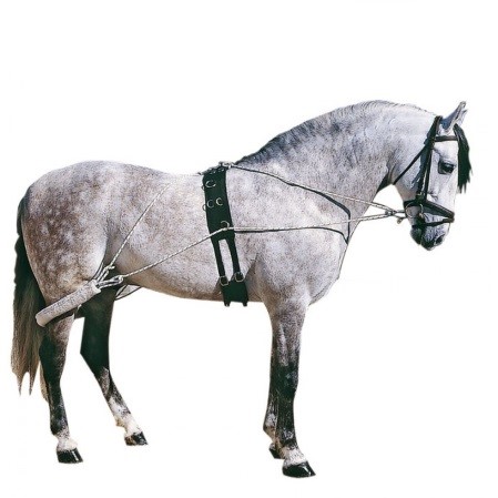 Chambon completo - Imagen 2