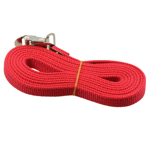 Security strip carry bike – Cincha de sujeción