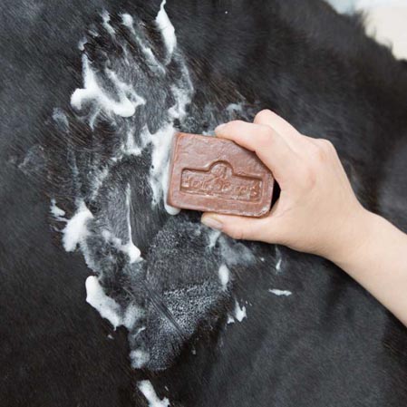 Active Soap - Imagen 3