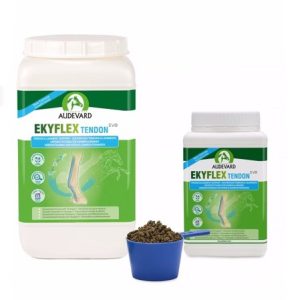 Audevard Ekyflex Tendon Evo
