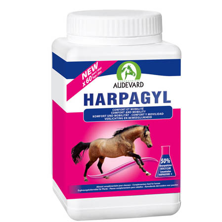 Audevard Harpagyl caballos - Imagen 2