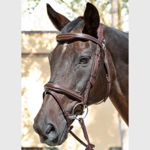 Brida Salto Equiline