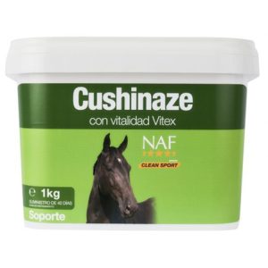 Caballos síndrome Cushing