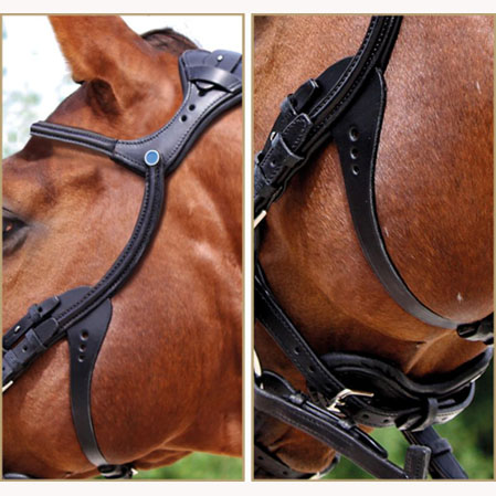 Cabezada Stubben Freedom - Imagen 4