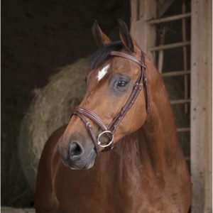 Cabezada caballos filete