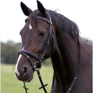 Cabezada caballos filete Luxury