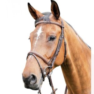 Cabezada caballos Prestige E87