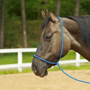 Cabezada cuadra 3 en 1