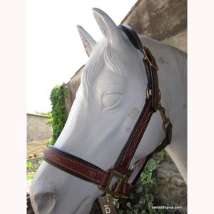 Cabezada cuadra cuero Iquus