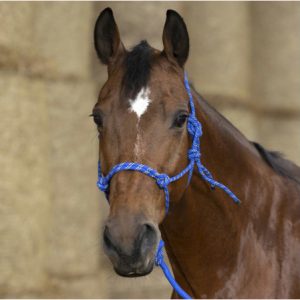 Cabezada cuadra nudos caballos