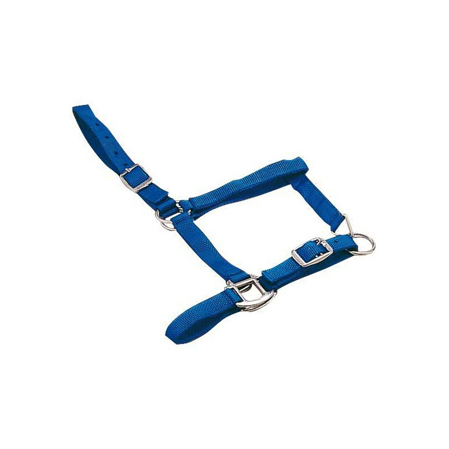 Cabezada cuadra potros nailon - Imagen 2