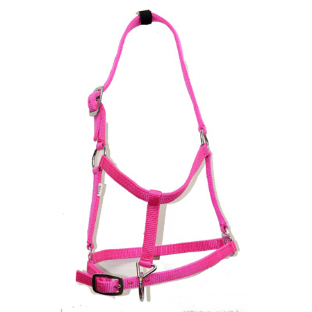 Cabezada cuadra potros nailon - Imagen 5