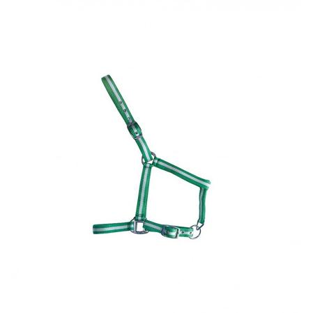 Cabezada cuadra potros nailon - Imagen 4