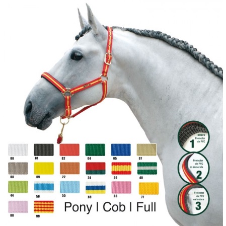 Cabezada cuadra Zaldi