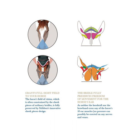 Cabezada Stubben Freedom - Imagen 6