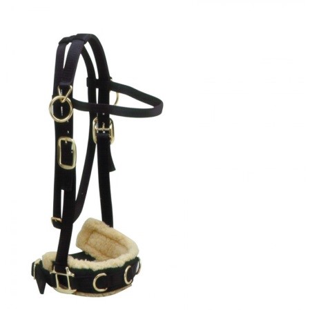 Cabezada trabajo borreguillo