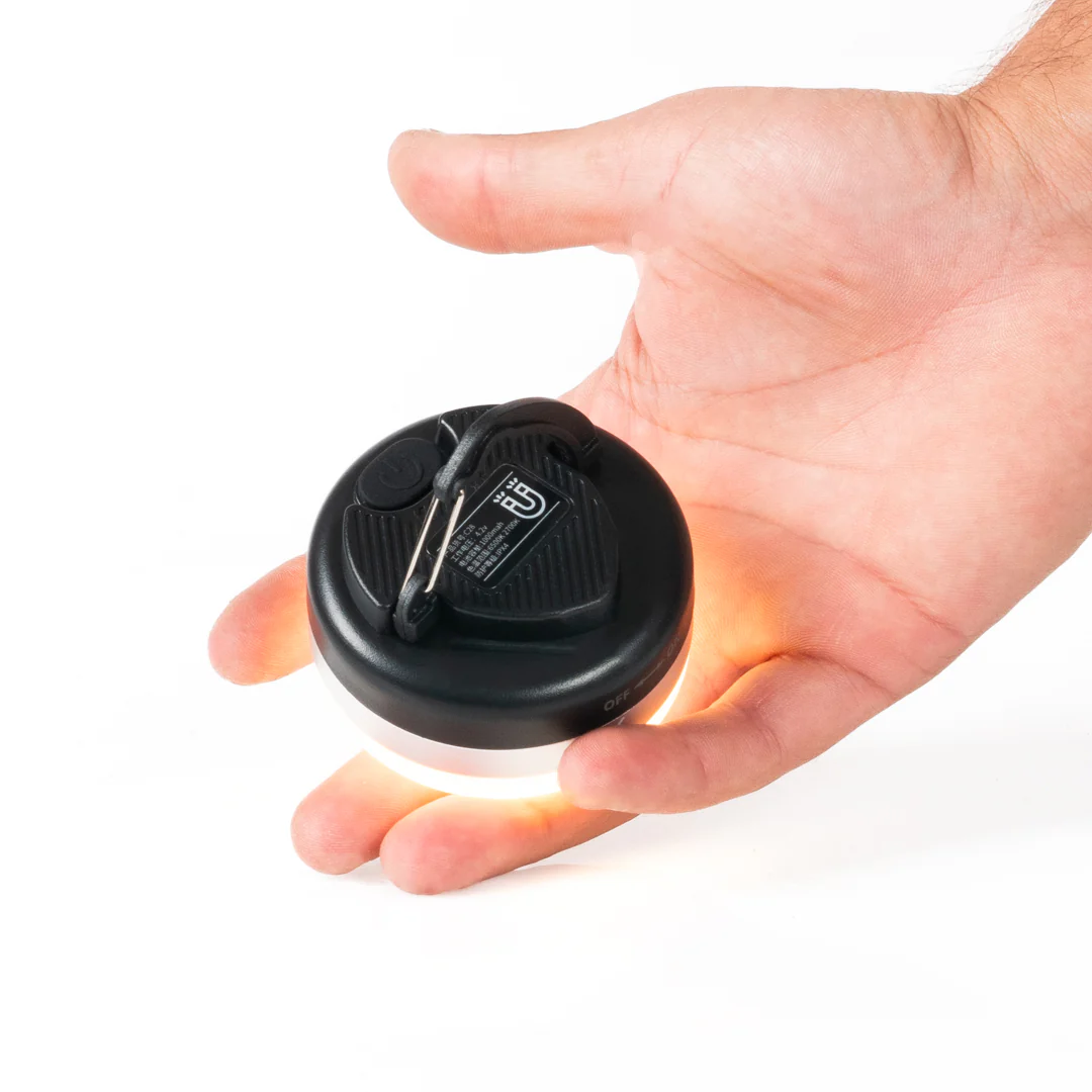 LINTERNA CARPA - Imagen 7