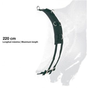 Cinchuelo doma Zaldi