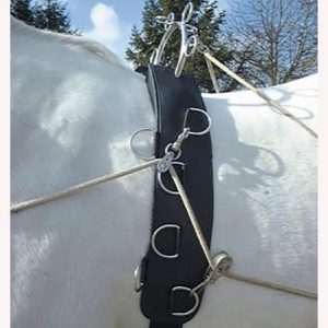 Cinchuelo entrenamiento Felix Brasseur