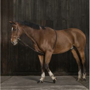 Cuerda entrenamiento caballos