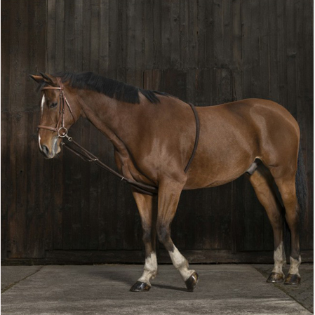 Cuerda entrenamiento caballos