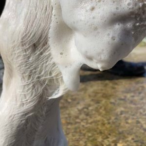 Derfen champu calmante