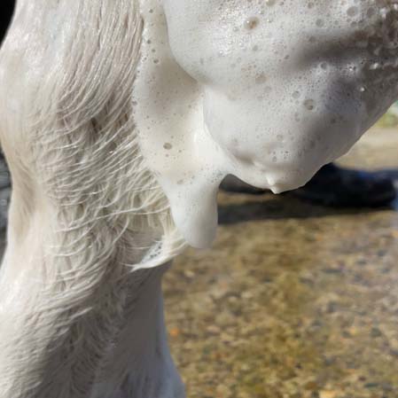 Derfen champu calmante