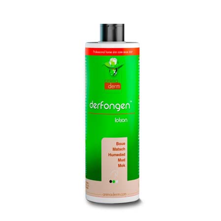 Derfongen arestines y hongos - Imagen 3