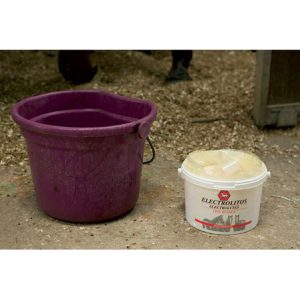 Electrolitos caballos Crin Blanca