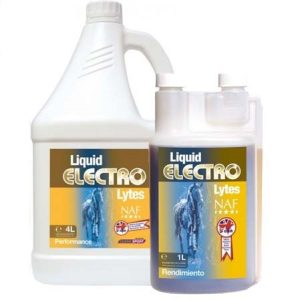 Electrolitos liquido caballos