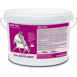 Equi 2000 Foal potros