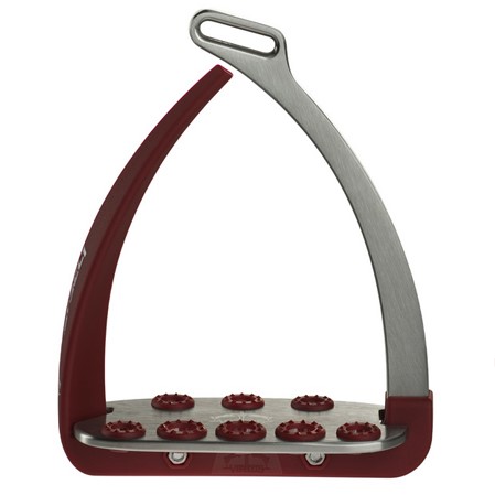 Estribos seguridad Veredus Vita - Imagen 6