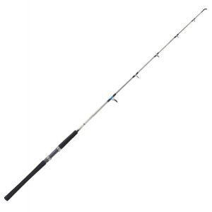 Caña Carbono Macizo Evolution GT2 1.83m Frontal 20-50lb