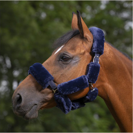 Fundas cabezada cuadra - Imagen 3