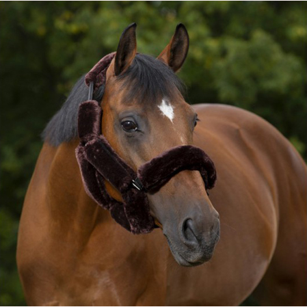 Fundas cabezada cuadra - Imagen 5