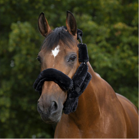 Fundas cabezada cuadra - Imagen 4