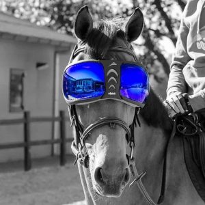 Gafas caballos eVysor Equick