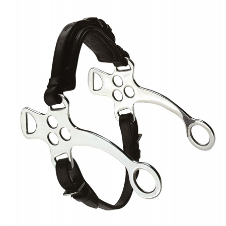 Hackamore Feeling - Imagen 3