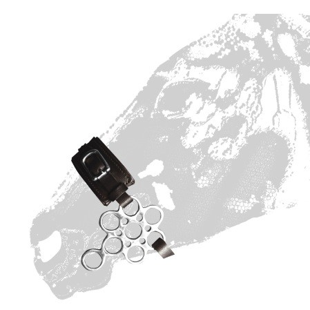 Hackamore roseta - Imagen 2