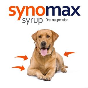 Jarabe articulaciones perros Synomax