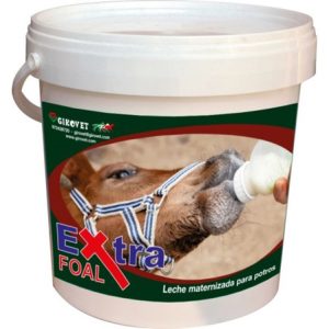 Leche potros Extra Foal