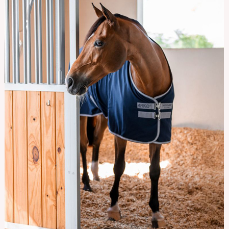 Manta caballos Amigo verano - Imagen 2