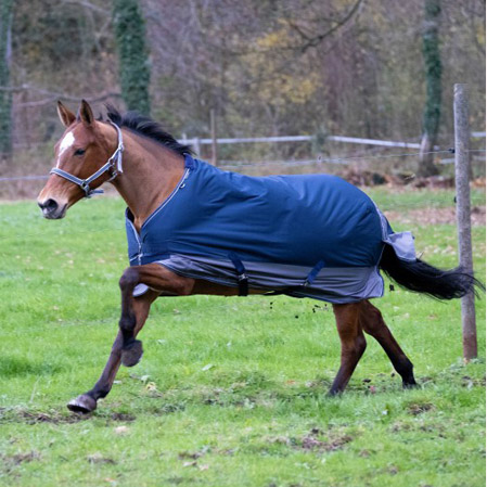 Manta caballos invierno - Imagen 3