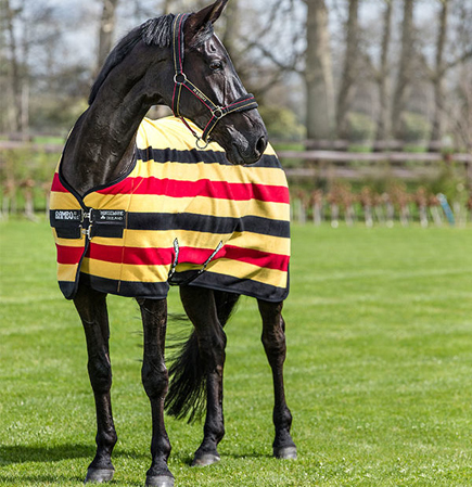 Manta caballos polar Rambo - Imagen 2